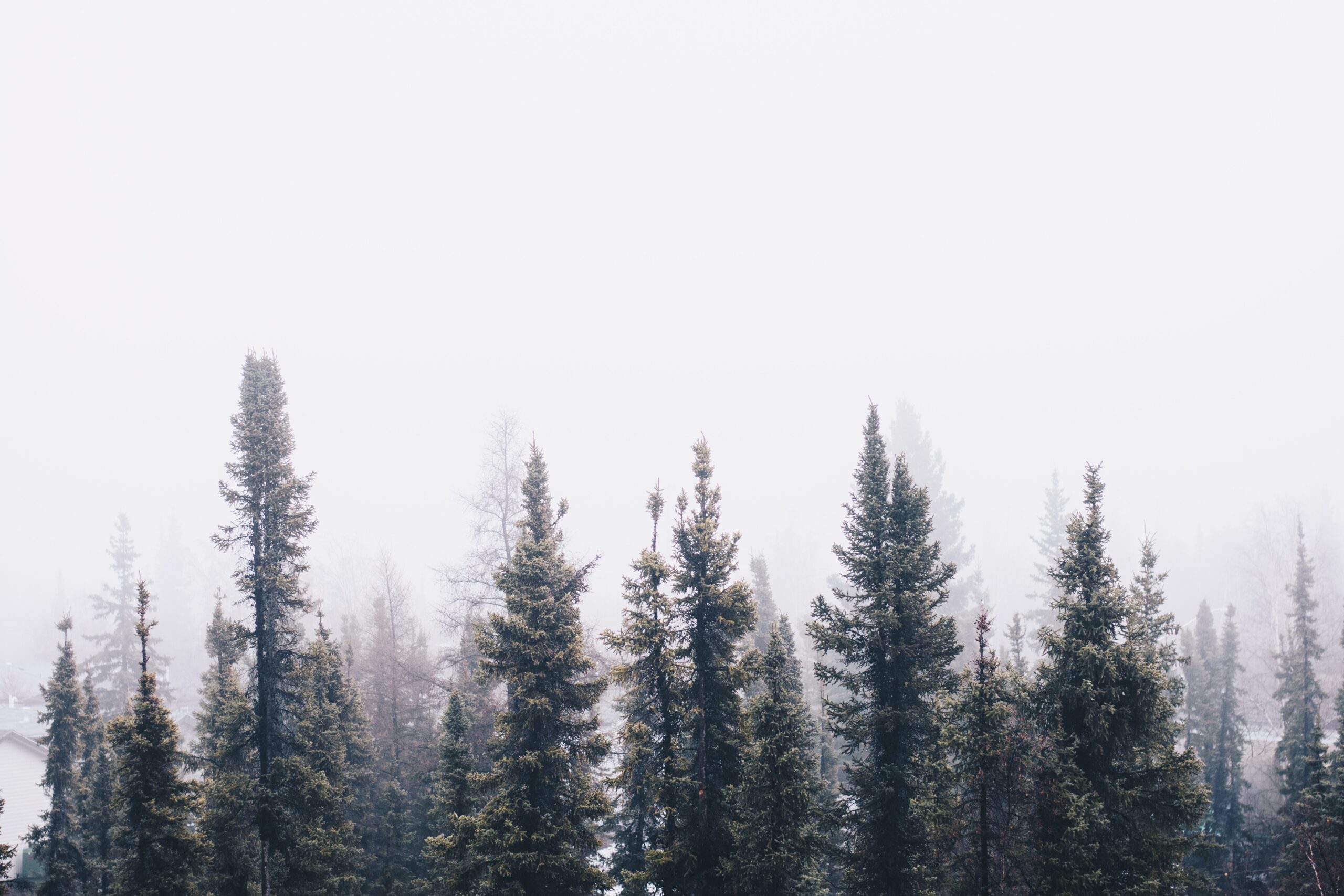 ian-keefe-MDteiLH1CZY-unsplash
